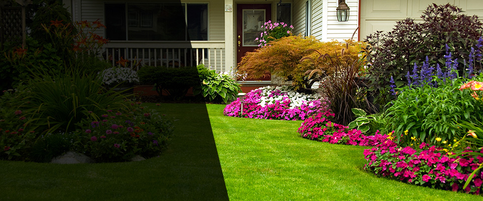 Abbeville Landscapers