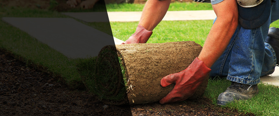 Abbeville Landscapers
